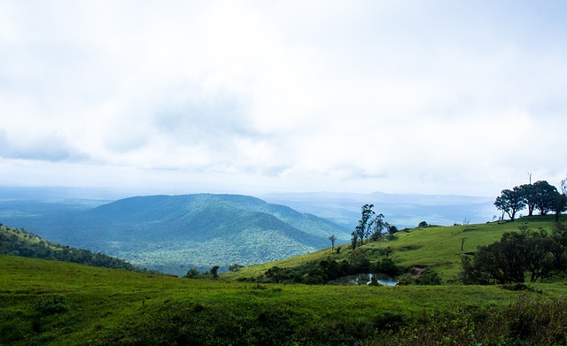 李冰冰三刷新疆滑雪场，明星效应如何引爆冰雪经济？