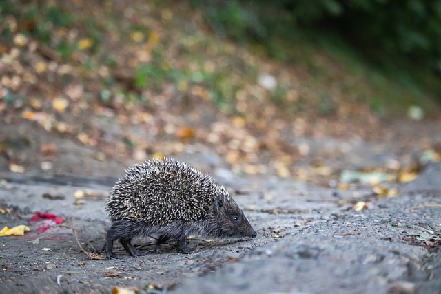 磨损痕迹等 磨损痕迹等