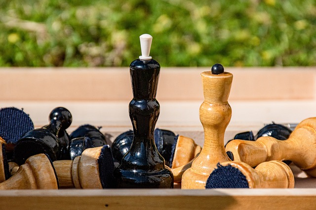 的球鞋不仅 的球鞋不仅