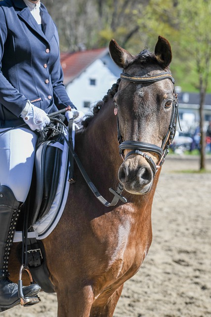 养年轻新人 养年轻新人