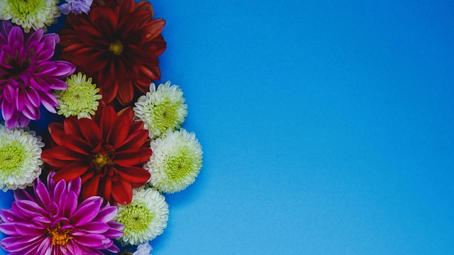 两队将在世 两队将在世