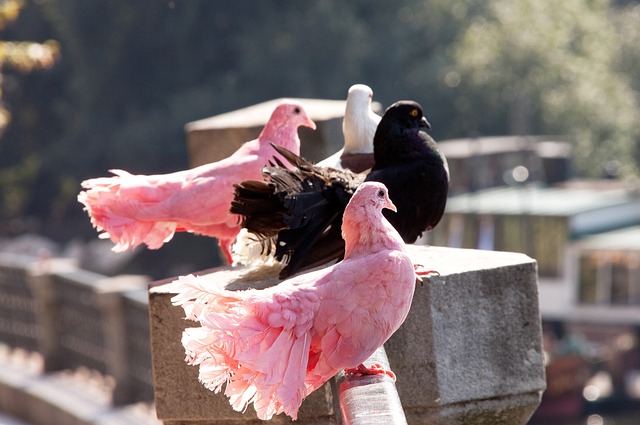 三分球已经 三分球已经