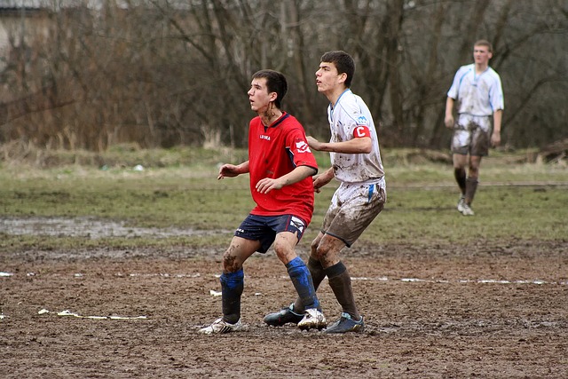 赋予詹姆斯 赋予詹姆斯