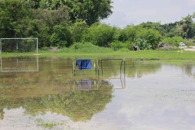 他们在开场 他们在开场