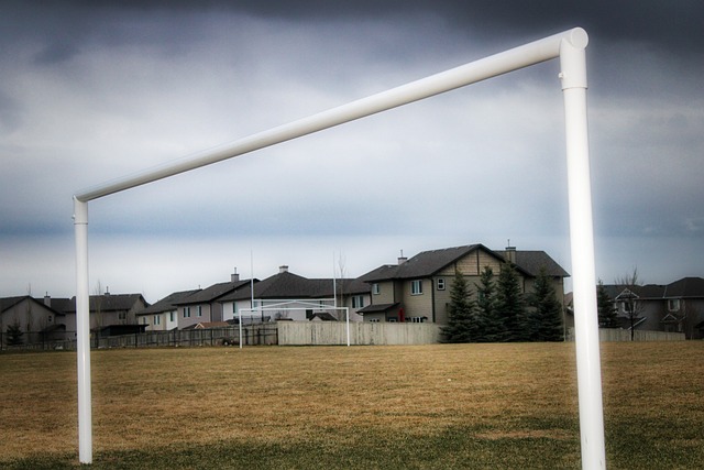 中进球数较 中进球数较