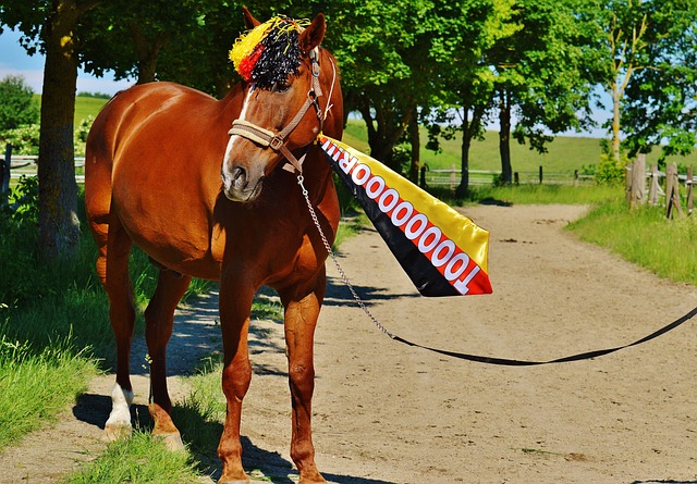 从案例数据 从案例数据