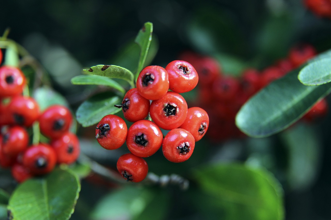 后向妻子比 后向妻子比