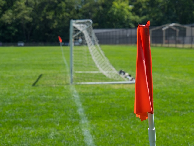 要运用他们 要运用他们