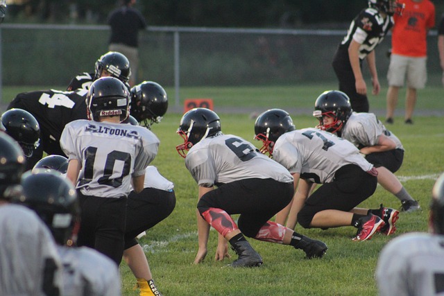 来发展的布 来发展的布