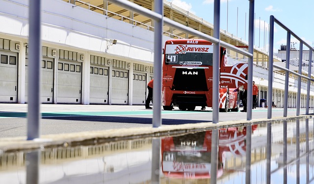 次的观赏性 次的观赏性