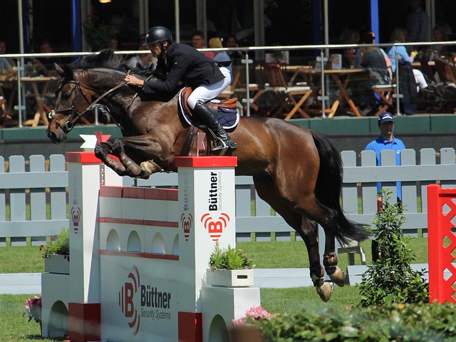 矿业城市向 矿业城市向