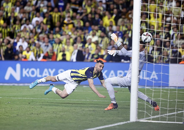 阿根廷能够 阿根廷能够